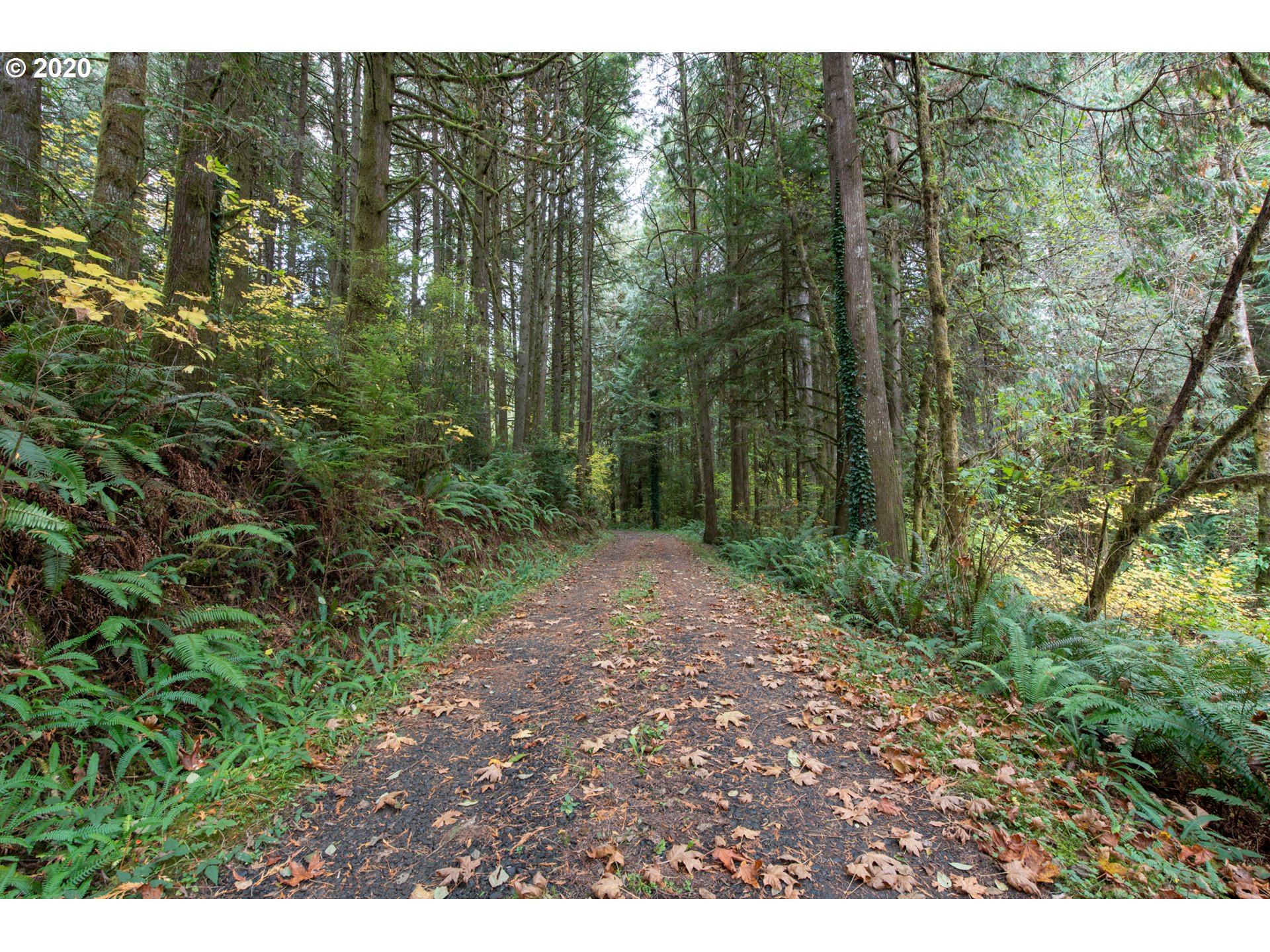 56974 Fat Elk Road Coquille, OR 97423 - Photo 18 of 31
