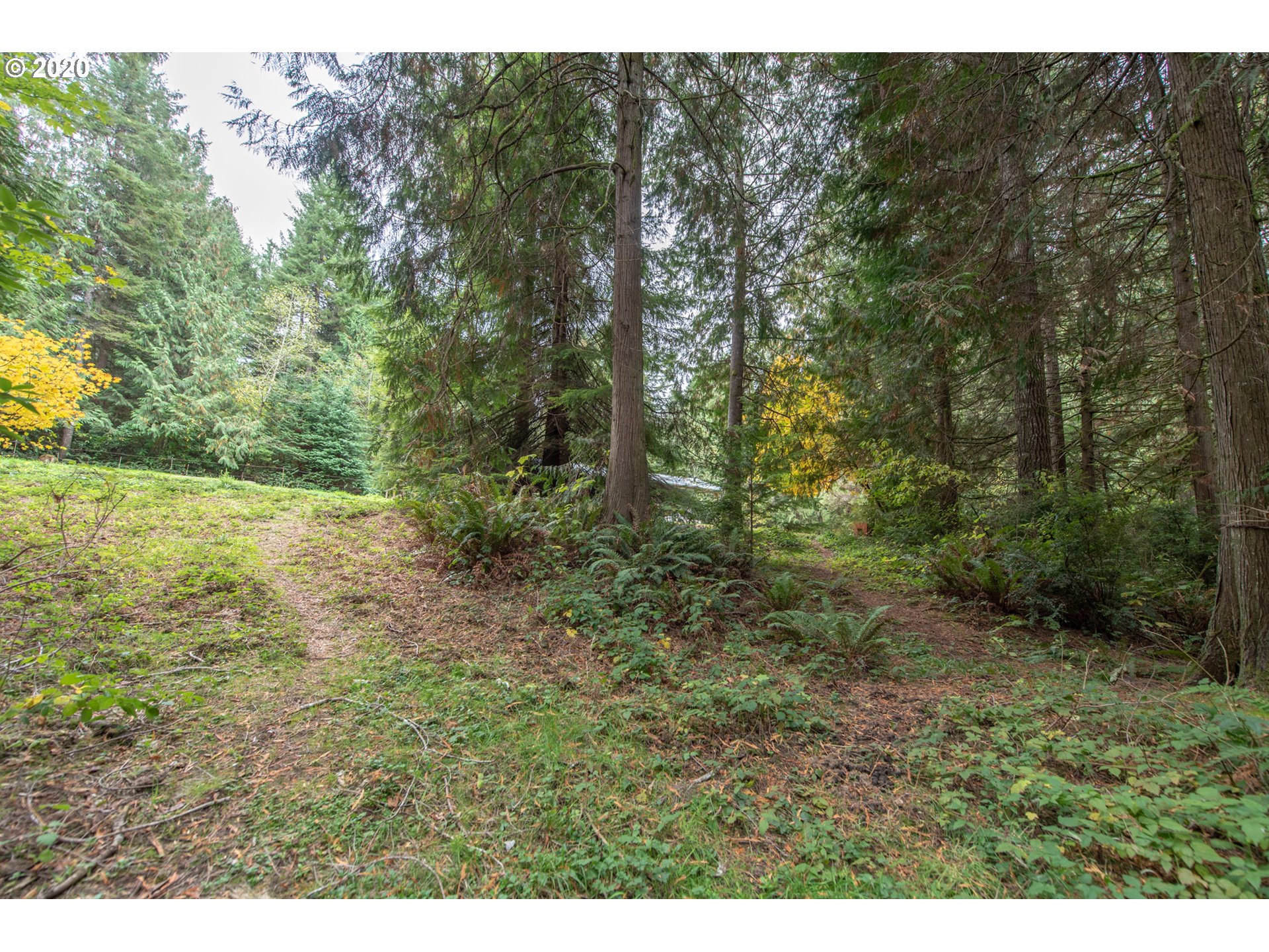 56974 Fat Elk Road Coquille, OR 97423 - Photo 19 of 31