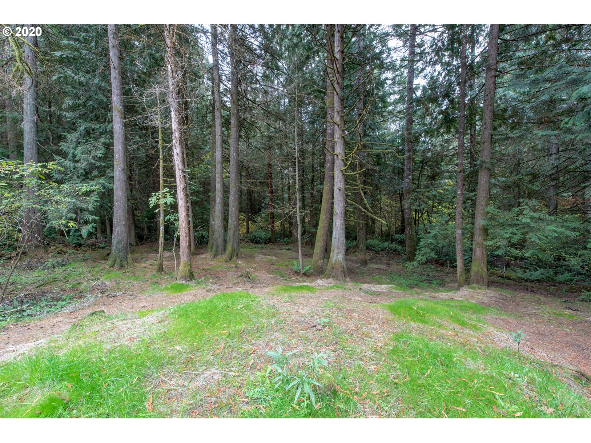 56974 Fat Elk Road Coquille, OR 97423 - Photo 20 of 31