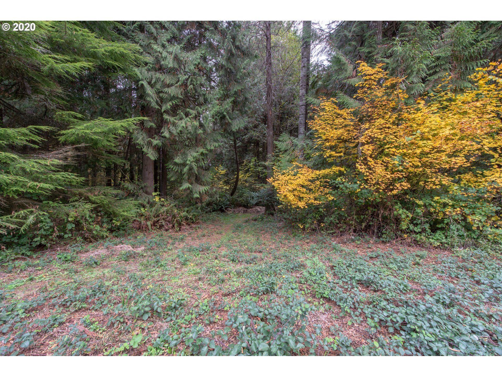 56974 Fat Elk Road Coquille, OR 97423 - Photo 21 of 31