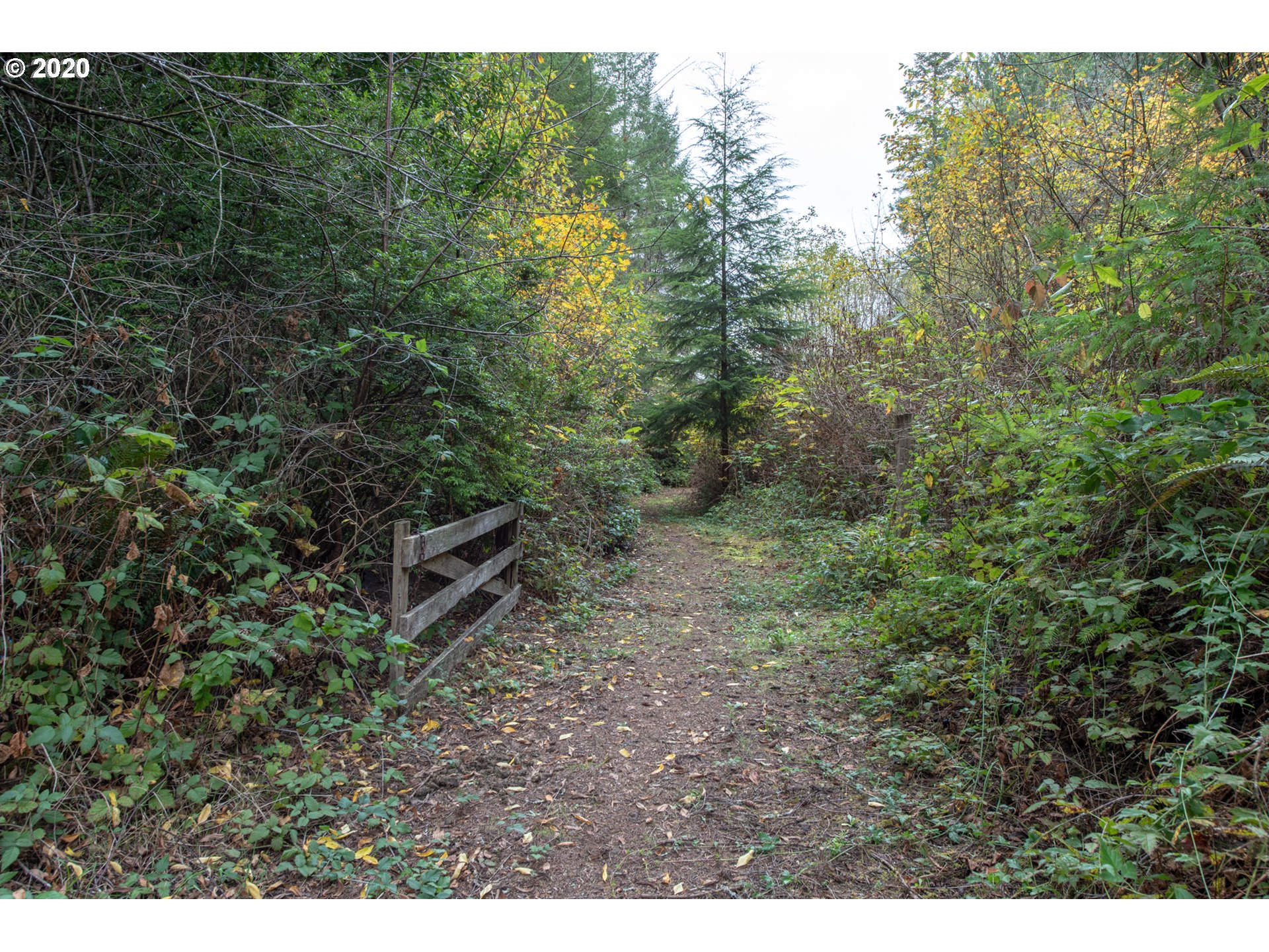 56974 Fat Elk Road Coquille, OR 97423 - Photo 22 of 31