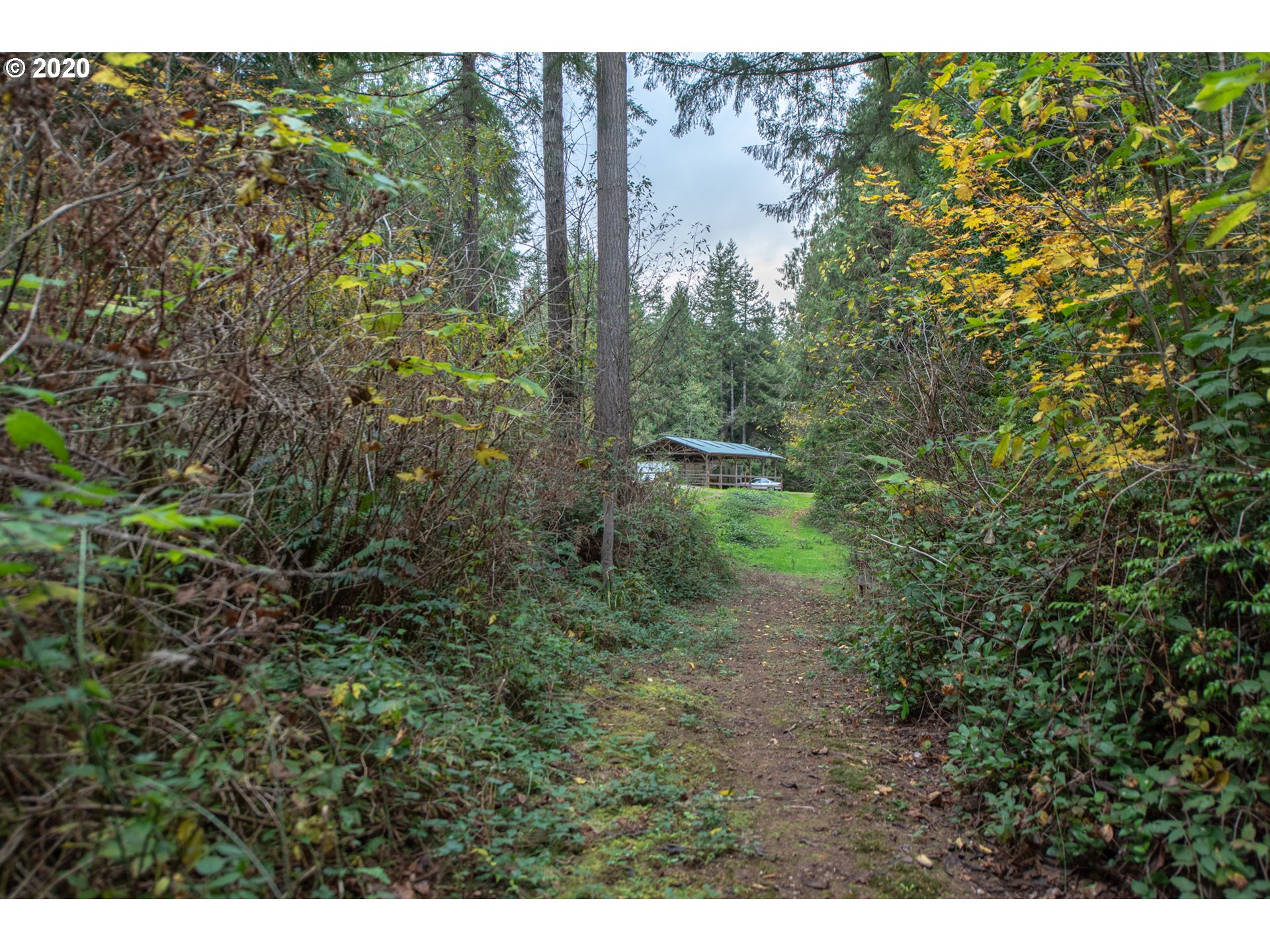 56974 Fat Elk Road Coquille, OR 97423 - Photo 23 of 31