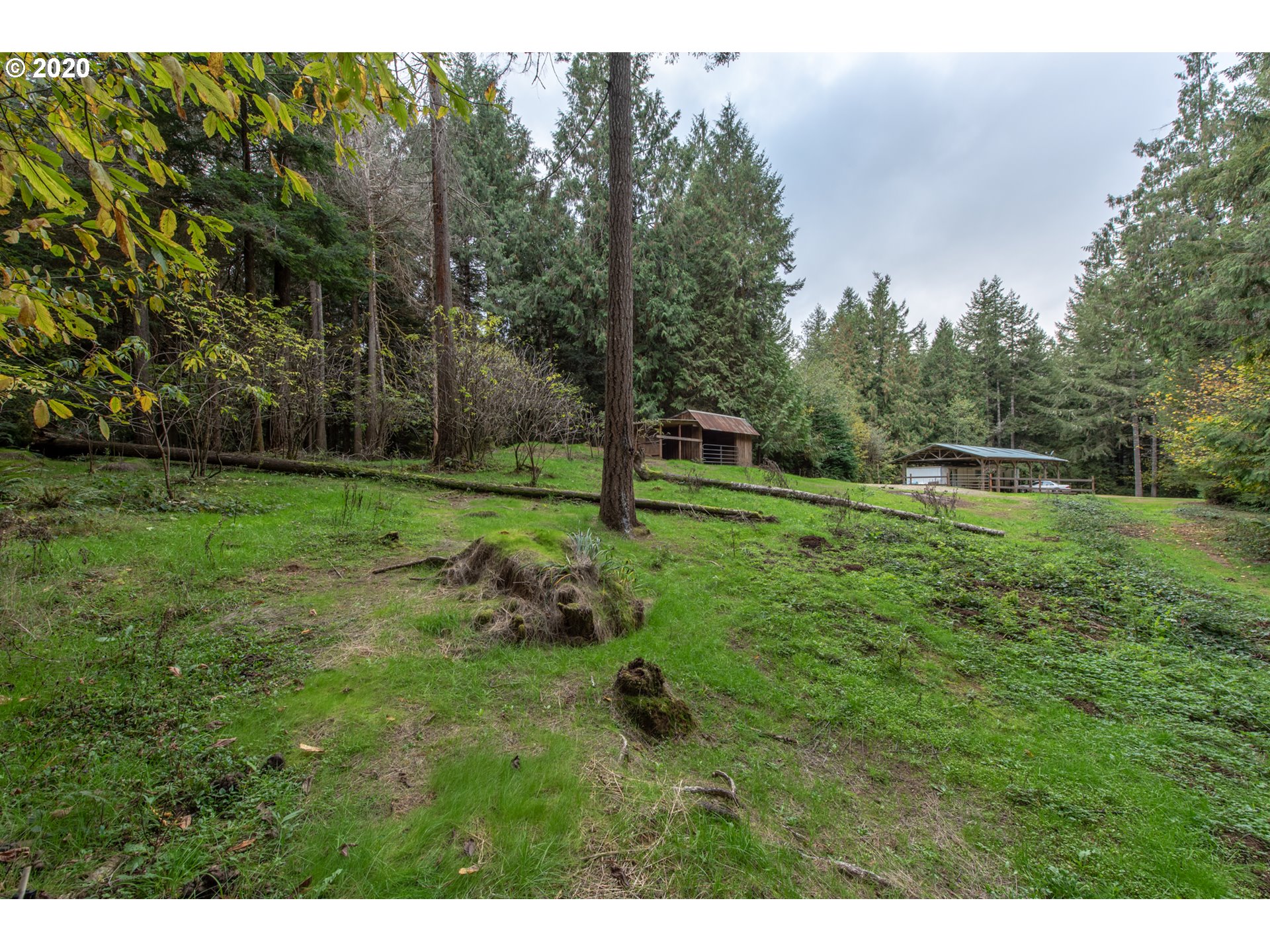 56974 Fat Elk Road Coquille, OR 97423 - Photo 24 of 31