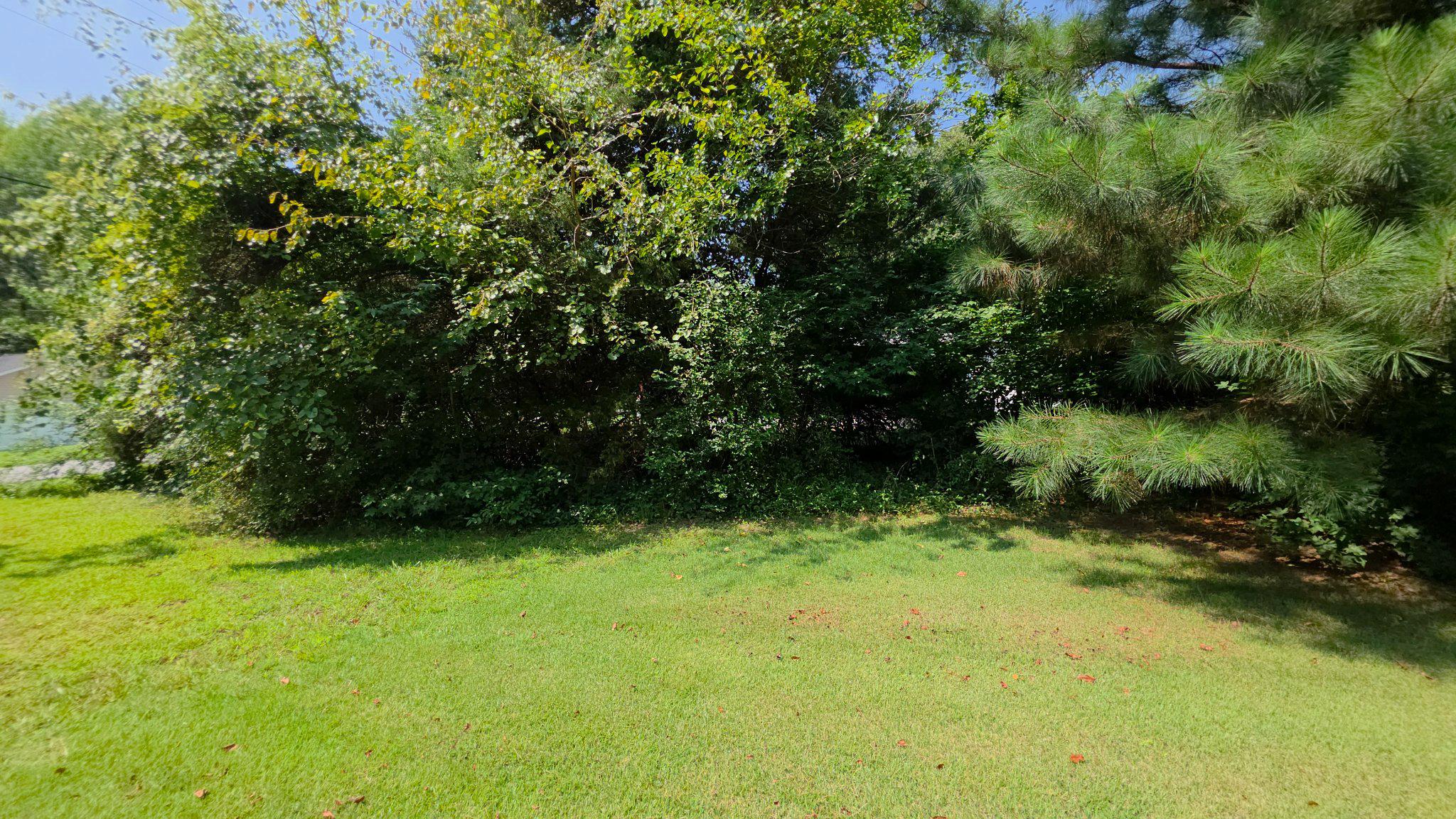 Mcglue Road Chaptico, MD 20621 - Photo 25 of 26 Lot 14 Lush greenery in a tranquil setting.
