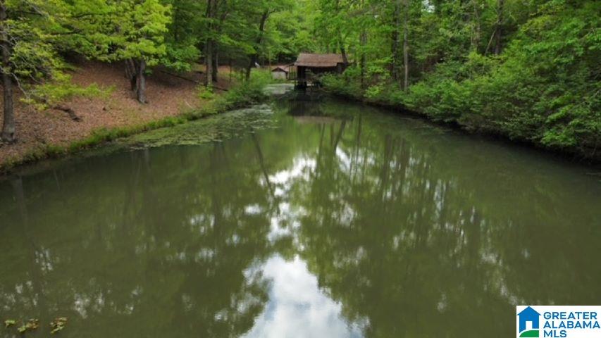 7307 County Road 31 Lineville, AL 36266 - Photo 13 of 30