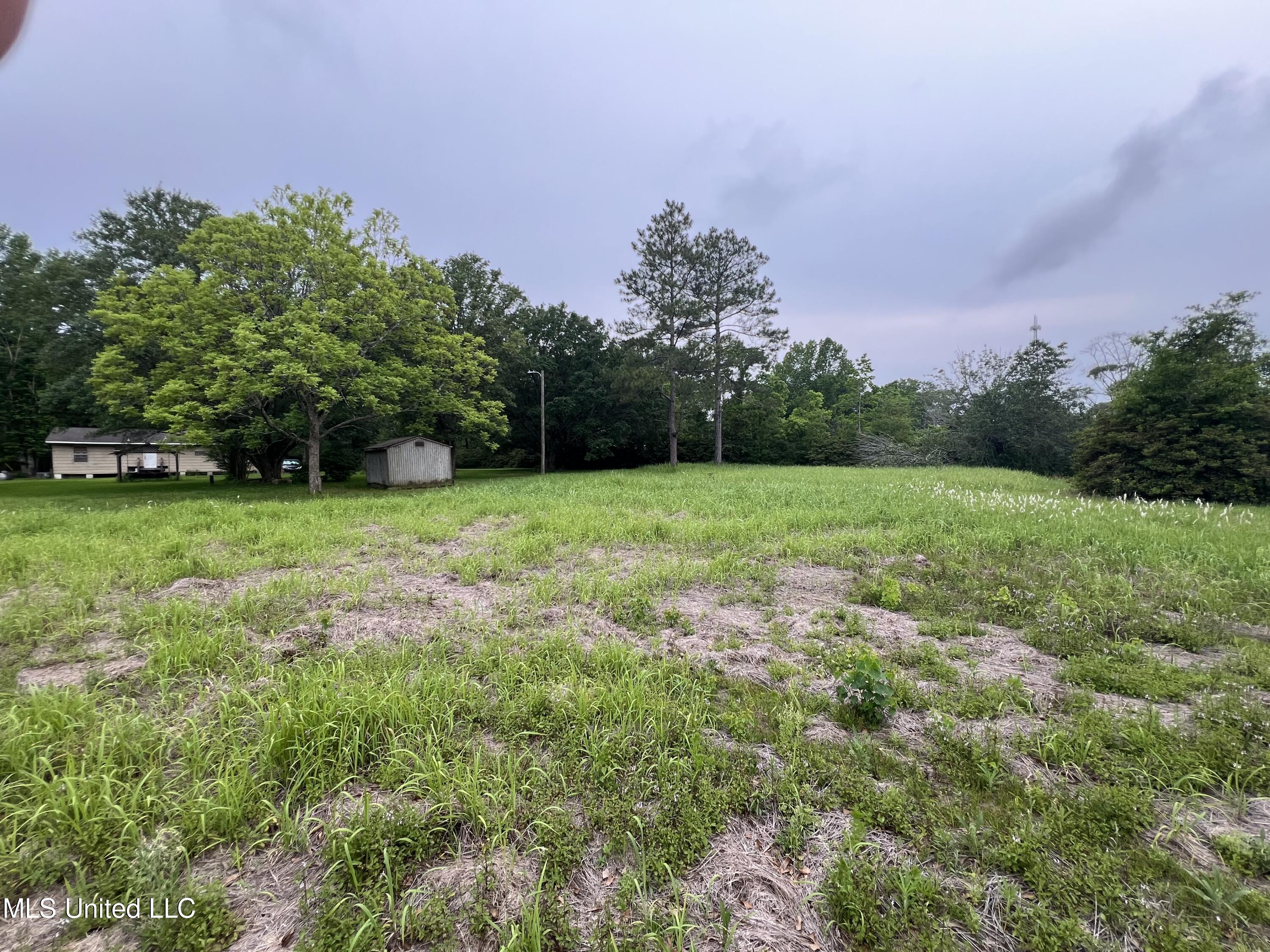 22640 Blackwell Farm Road Saucier, MS 39574 - Photo 8 of 20 IMG_5720