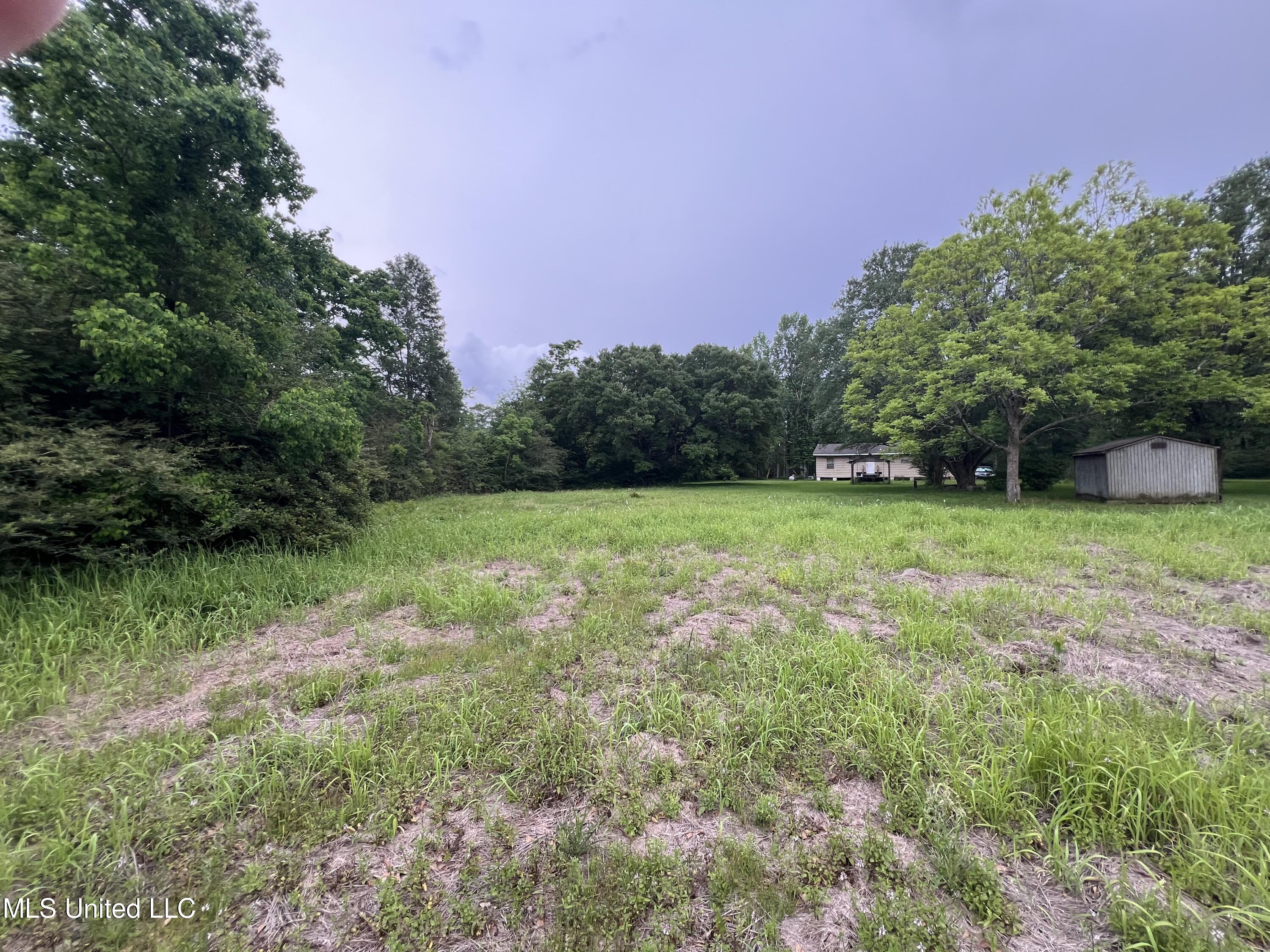 22640 Blackwell Farm Road Saucier, MS 39574 - Photo 9 of 20 IMG_5721