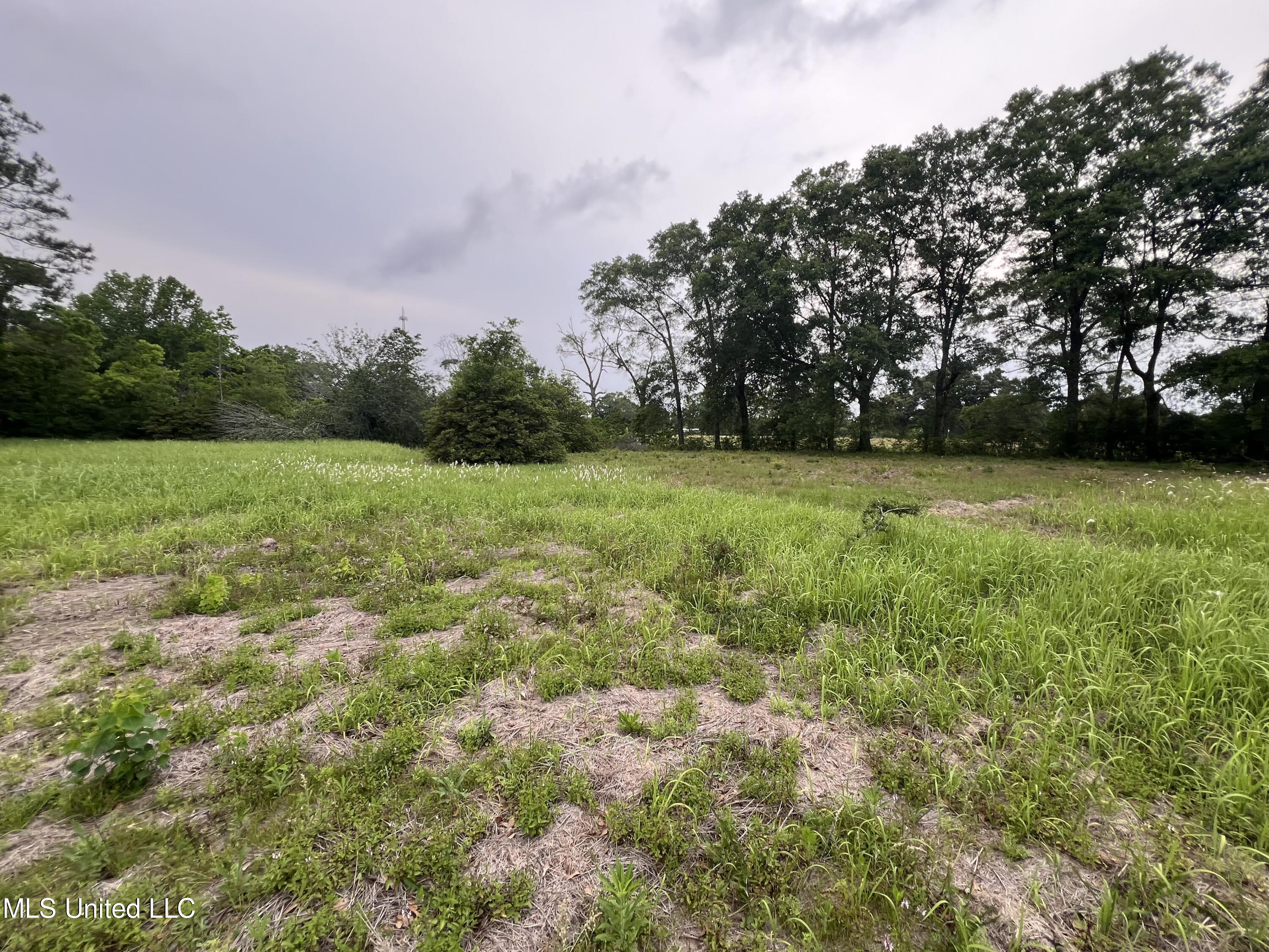 22640 Blackwell Farm Road Saucier, MS 39574 - Photo 10 of 20 IMG_5722