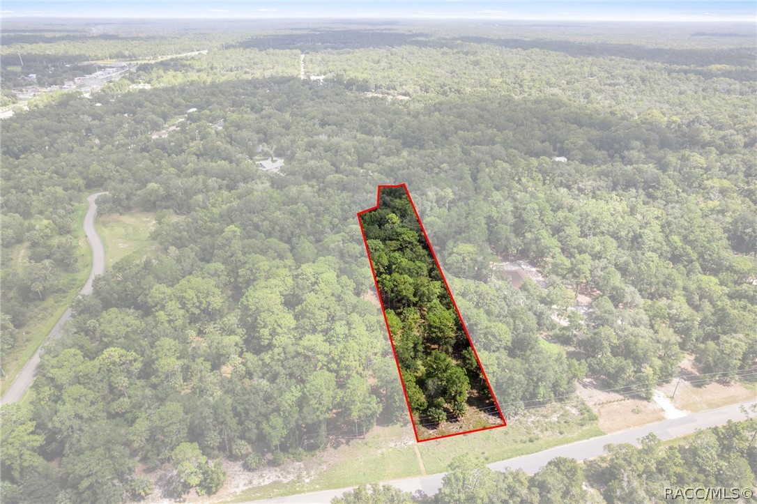 13707 West Foss Grove Path Inglis, FL 34449 - Photo 9 of 20 Gallery Image 9