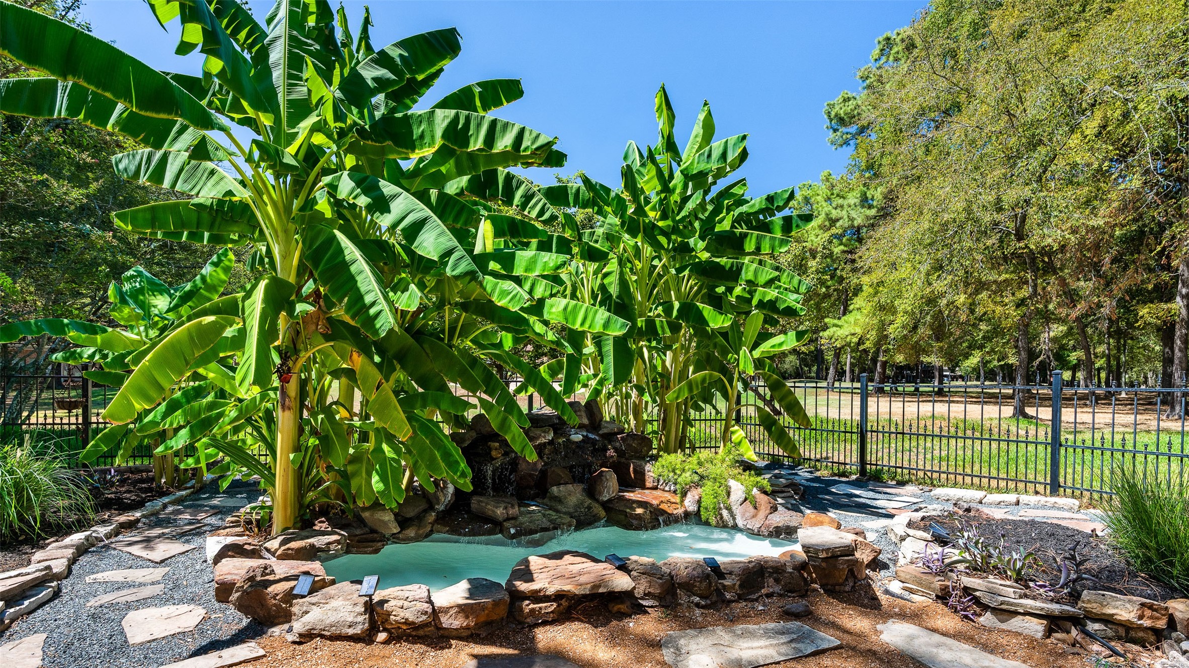 3219 Chippers Crossing Montgomery, TX 77356 - Photo 34 of 35 a view of a park with large trees