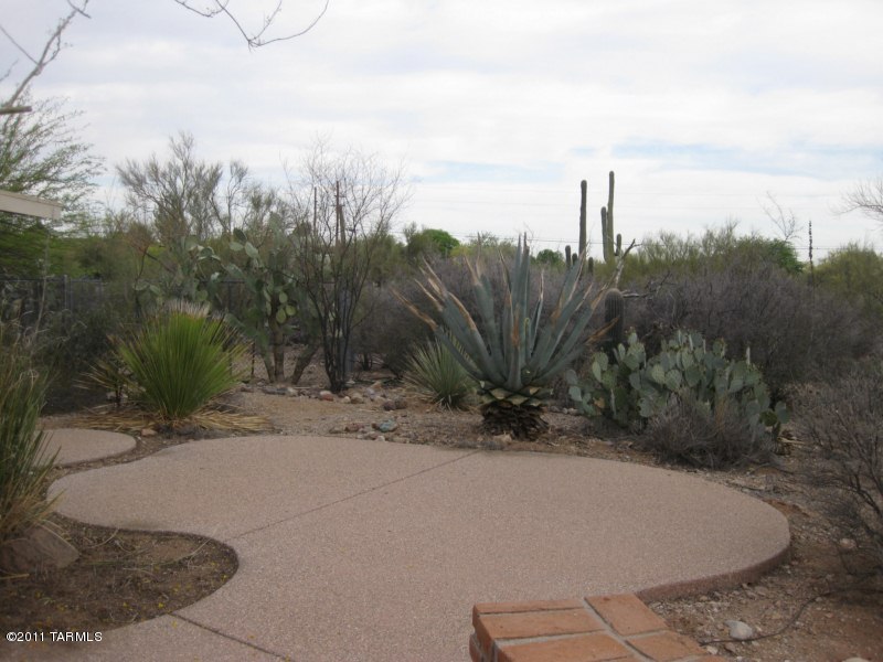 2550 North Grannen Road Tucson, AZ 85745 - Photo 12 of 12