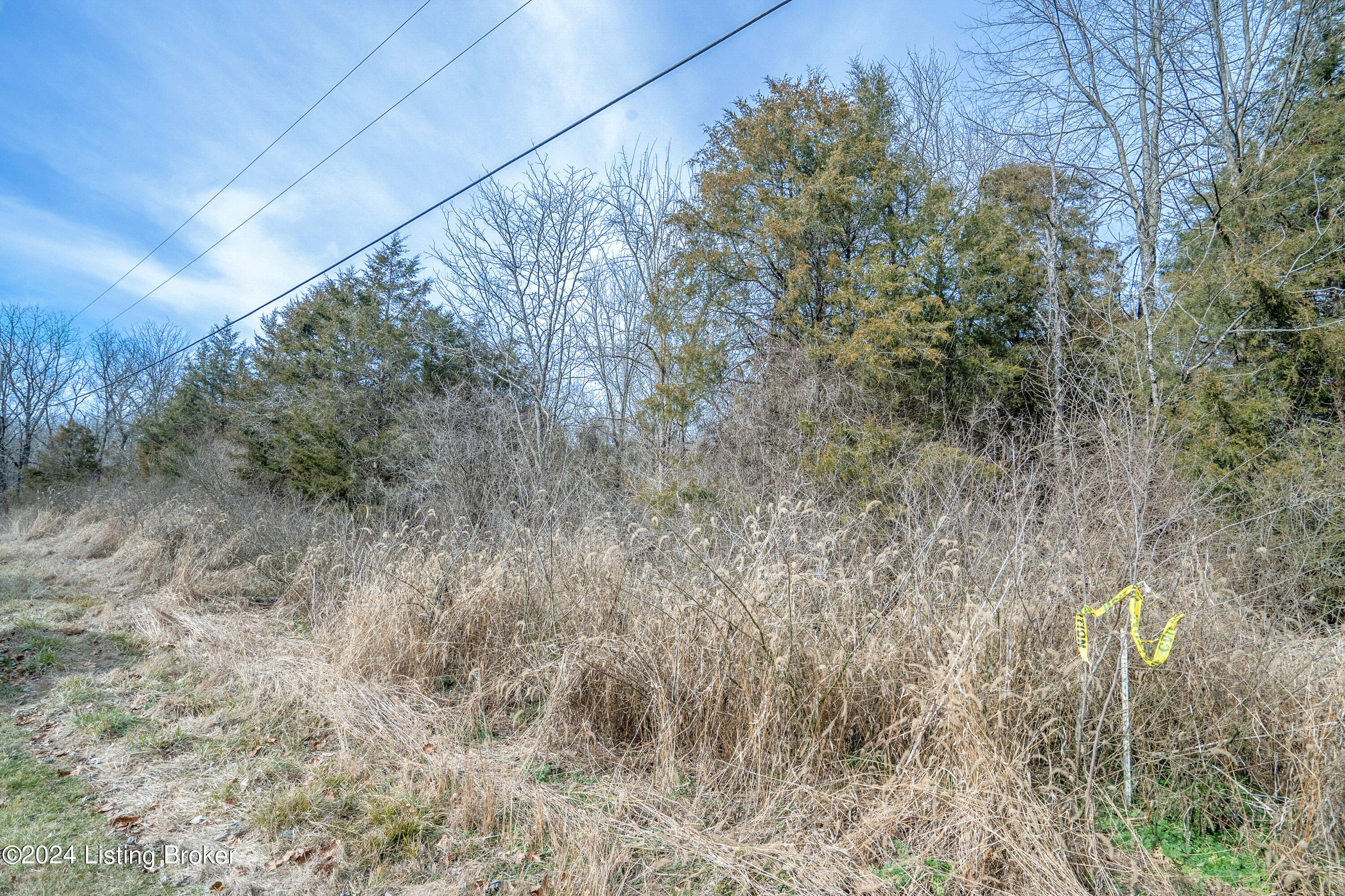 Lot 46 Fox Run Road Pendleton, KY 40055 - Photo 4 of 13 DSC06509