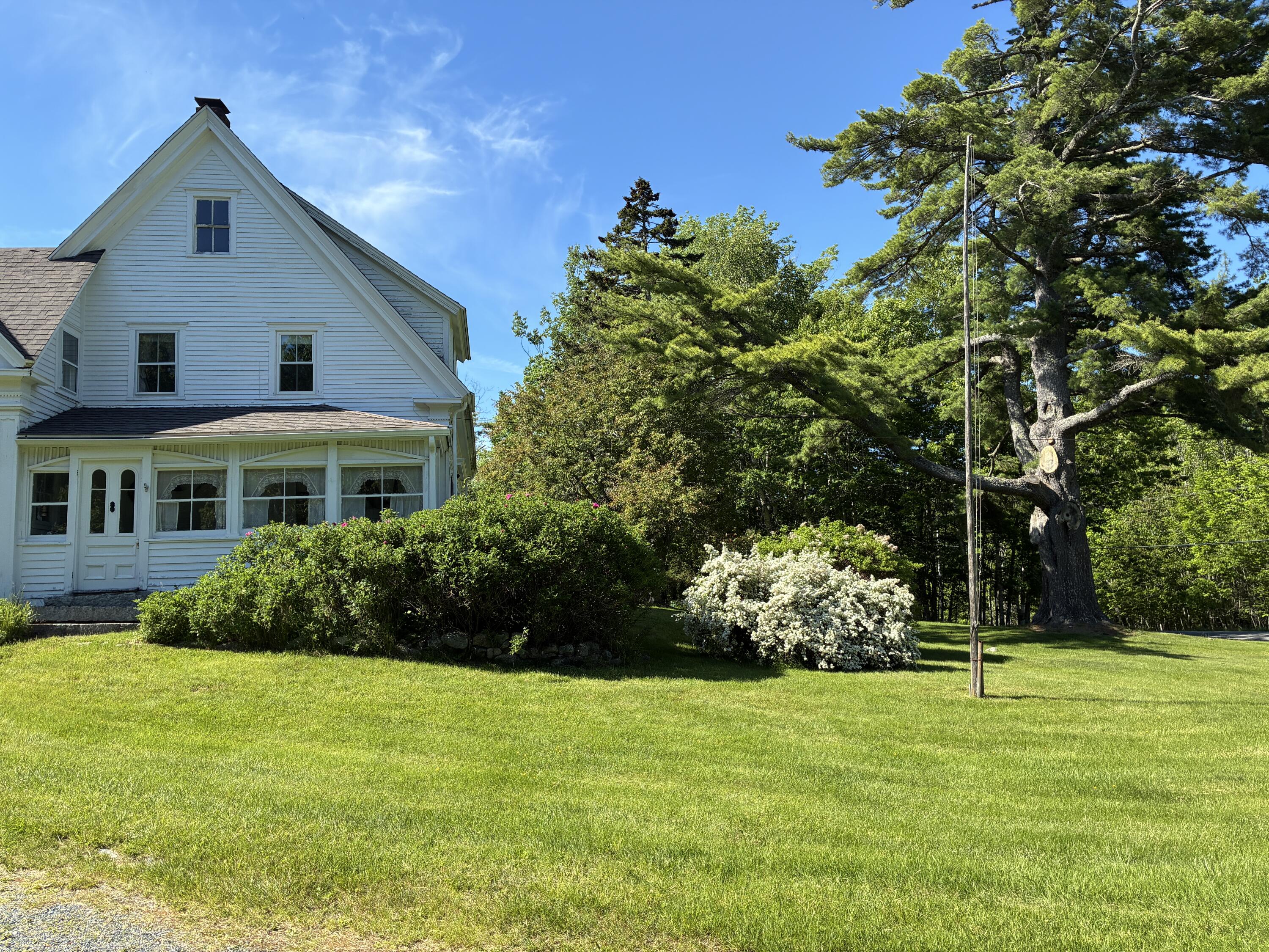 707 Newbury Neck Road Surry, ME 04684 - Photo 32 of 40 Sun porch with roses & bridal wreath.