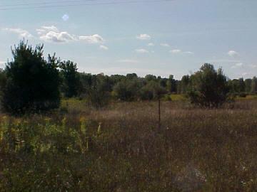 8809 Buchanan Road Mecosta, MI 49332 - Photo 1 of 3 Primary Photo