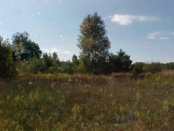 8809 Buchanan Road Mecosta, MI 49332 - Photo 2 of 3 Additional Photo