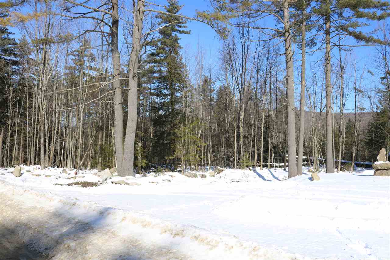 1477 Upper Notch Road Bristol, VT 05443 - Photo 11 of 15