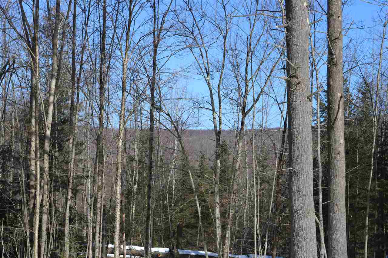 1477 Upper Notch Road Bristol, VT 05443 - Photo 7 of 15