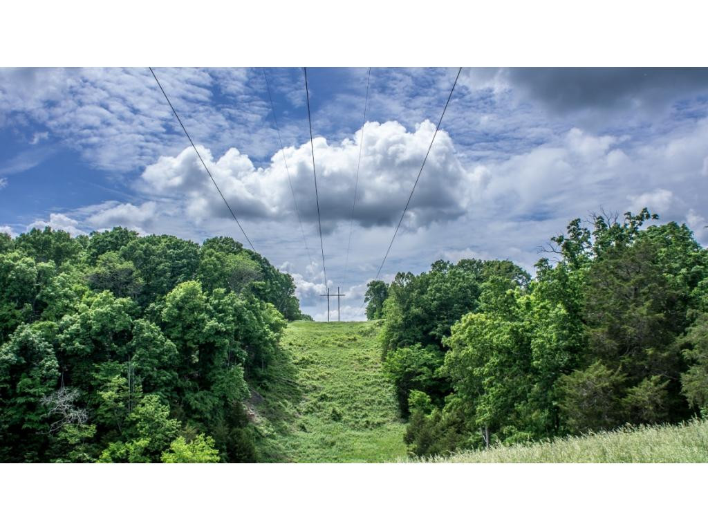 910 Lick Hollow Road Greeneville, TN 37743 - Photo 13 of 32 Photo 13