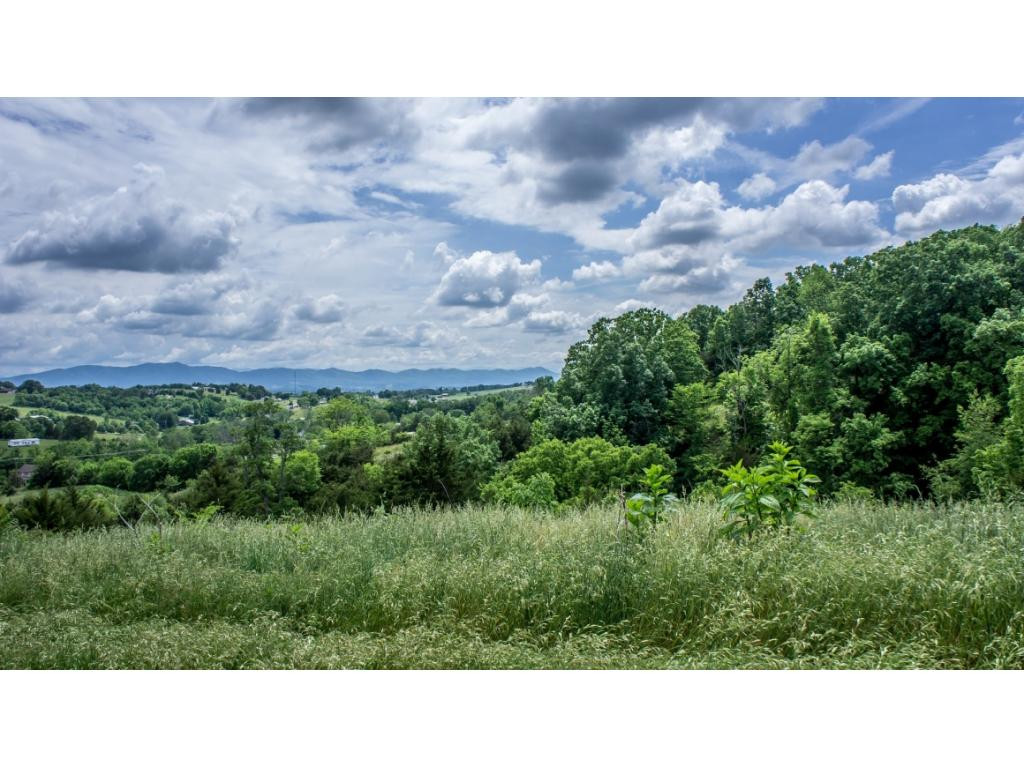 910 Lick Hollow Road Greeneville, TN 37743 - Photo 18 of 32 Photo 18