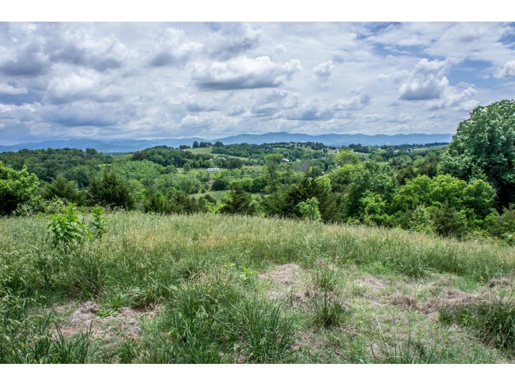 910 Lick Hollow Road Greeneville, TN 37743 - Photo 19 of 32 Photo 19