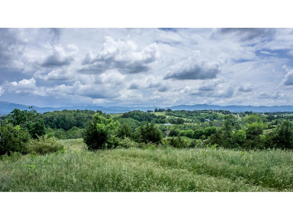 910 Lick Hollow Road Greeneville, TN 37743 - Photo 2 of 32 Photo 2