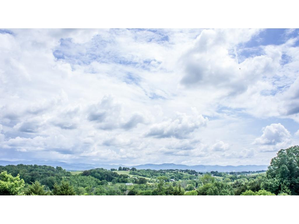 910 Lick Hollow Road Greeneville, TN 37743 - Photo 21 of 32 Photo 21
