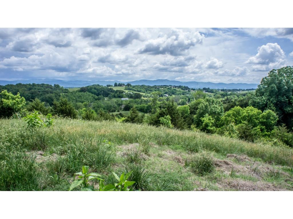 910 Lick Hollow Road Greeneville, TN 37743 - Photo 23 of 32 Photo 23