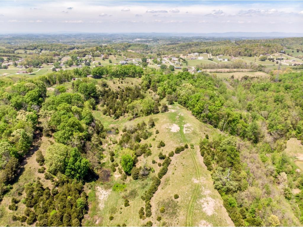 910 Lick Hollow Road Greeneville, TN 37743 - Photo 24 of 32 Photo 24