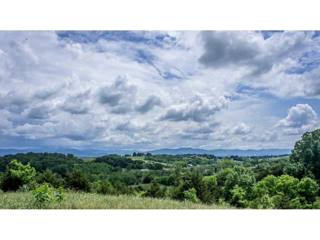 910 Lick Hollow Road Greeneville, TN 37743 - Photo 26 of 32 Photo 26