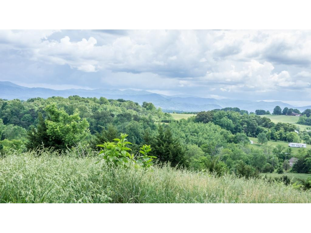 910 Lick Hollow Road Greeneville, TN 37743 - Photo 27 of 32 Photo 27
