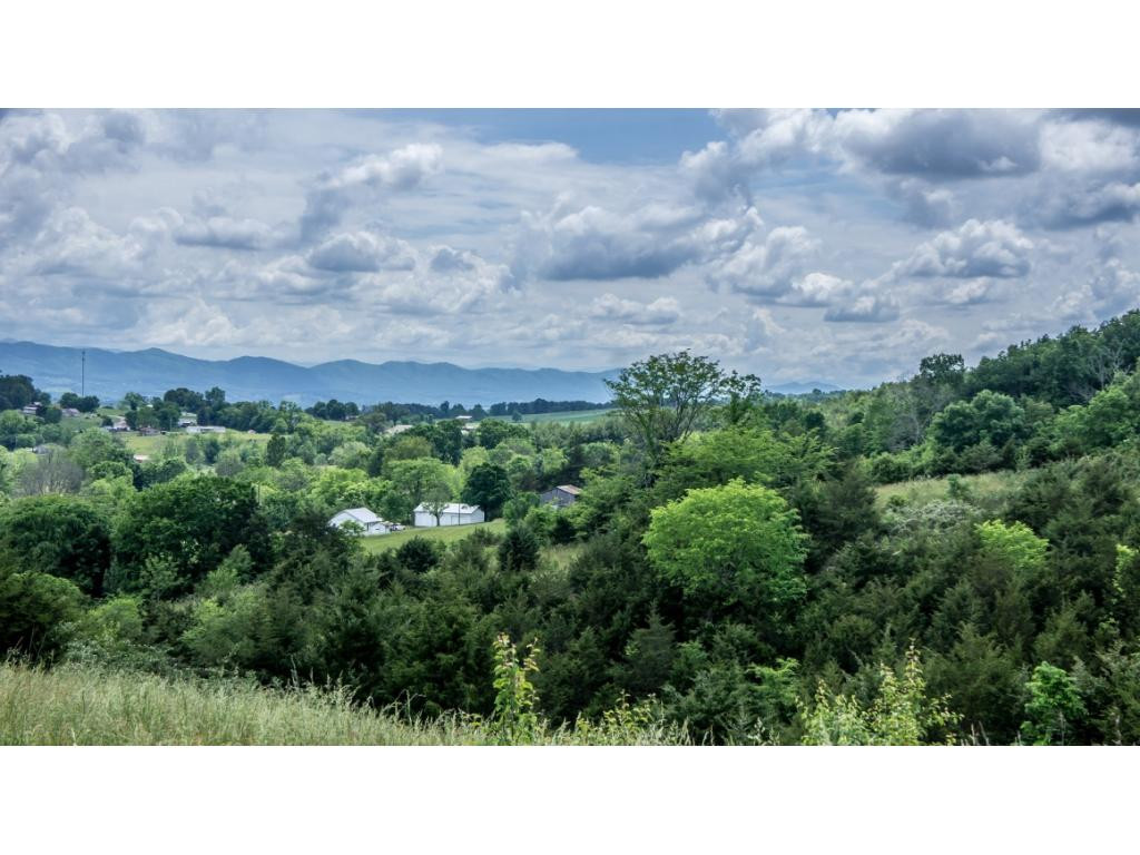 910 Lick Hollow Road Greeneville, TN 37743 - Photo 29 of 32 Photo 29