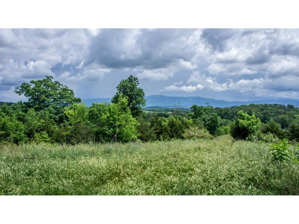 910 Lick Hollow Road Greeneville, TN 37743 - Photo 31 of 32 Photo 31