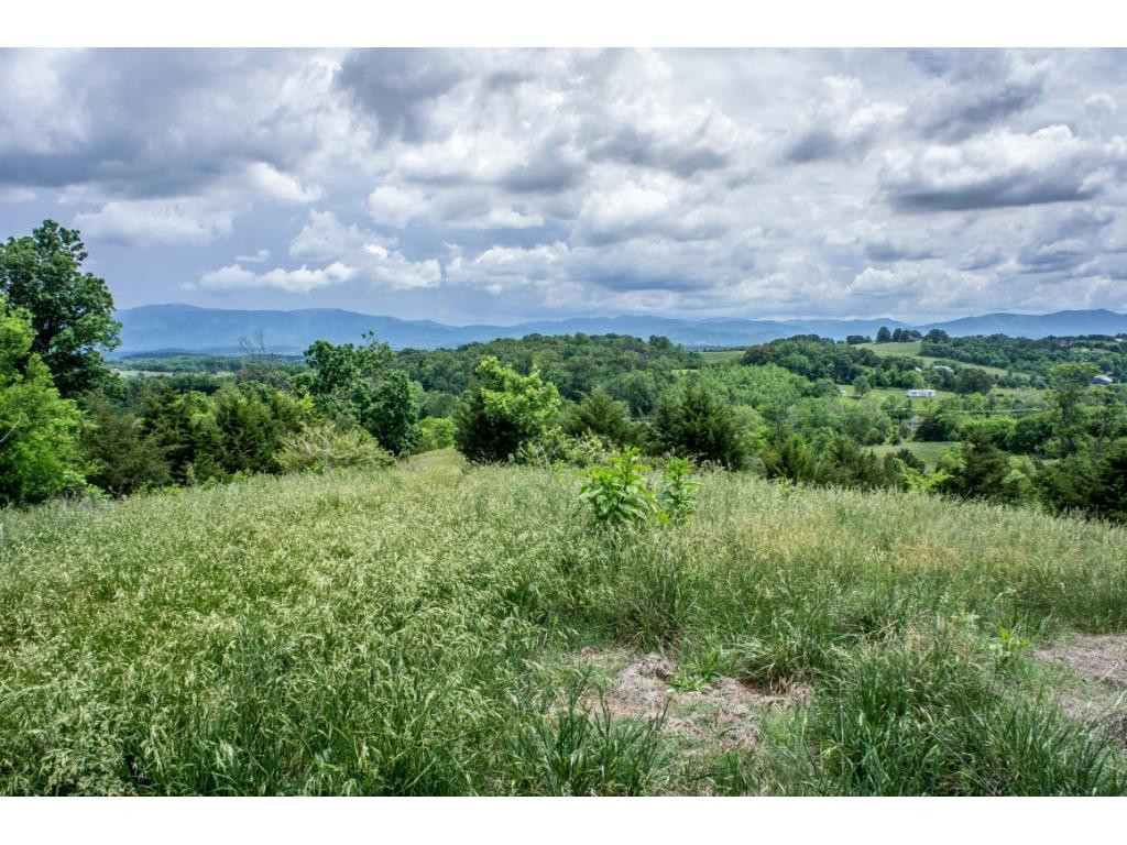 910 Lick Hollow Road Greeneville, TN 37743 - Photo 32 of 32 Photo 32