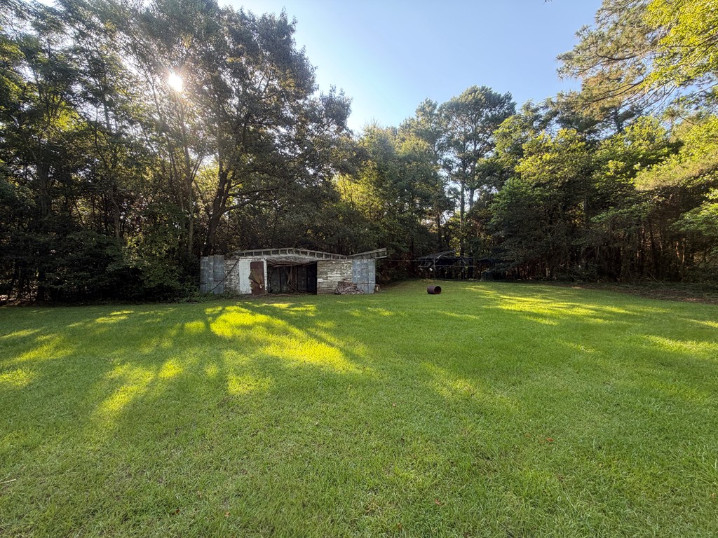 1 Nichols Road Pinckard, AL 36350 - Photo 11 of 29