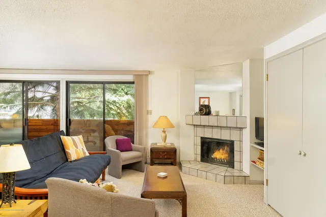 $5,000 | 935 East Hopkins Avenue, Unit 6, Aspen, CO 81611