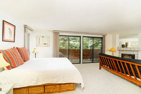 $5,000 | 935 East Hopkins Avenue, Unit 6, Aspen, CO 81611