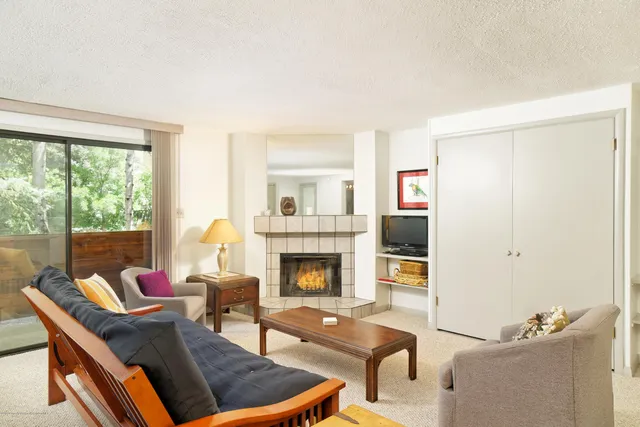 $5,000 | 935 East Hopkins Avenue, Unit 6, Aspen, CO 81611