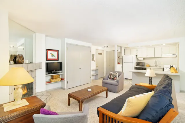 $5,000 | 935 East Hopkins Avenue, Unit 6, Aspen, CO 81611