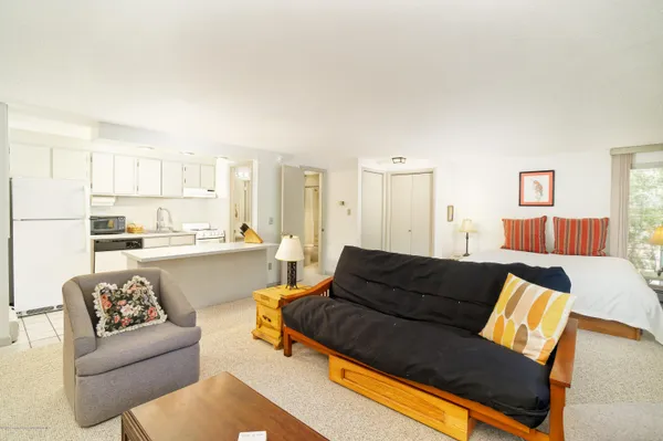 $5,000 | 935 East Hopkins Avenue, Unit 6, Aspen, CO 81611