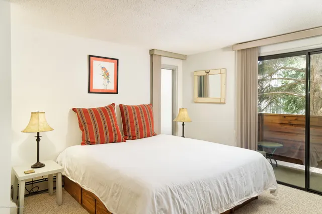 $5,000 | 935 East Hopkins Avenue, Unit 6, Aspen, CO 81611