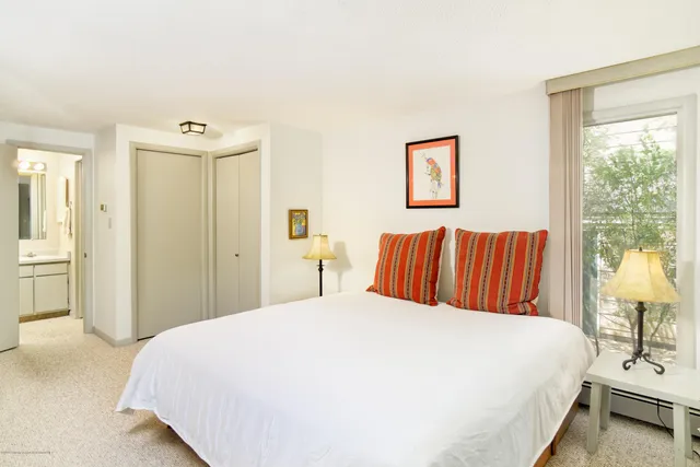 $5,000 | 935 East Hopkins Avenue, Unit 6, Aspen, CO 81611