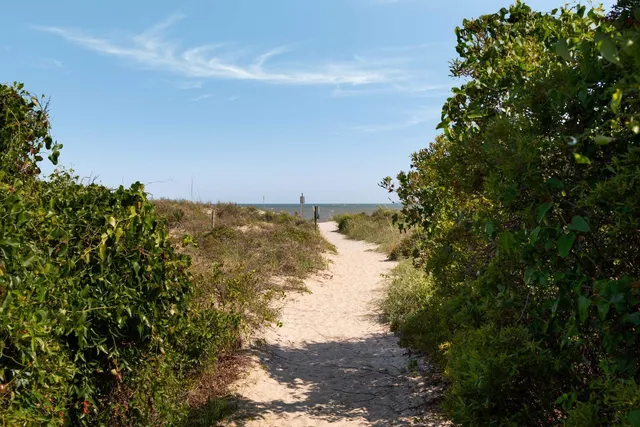 $3,690,000 | 14 55th Avenue, Isle of Palms, SC 29451