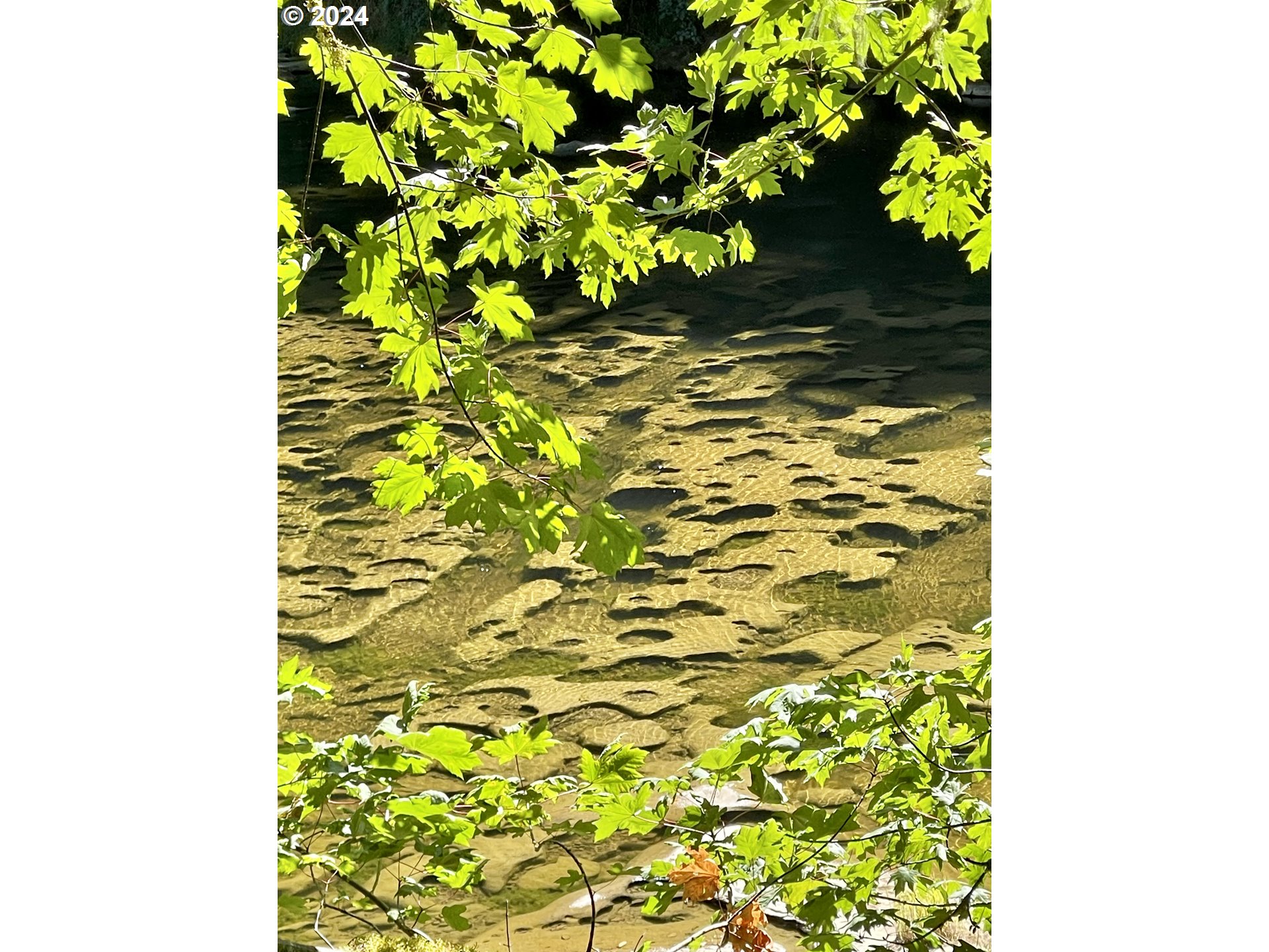 28593 Lower Smith River Road Reedsport, OR 97467 - Photo 34 of 48