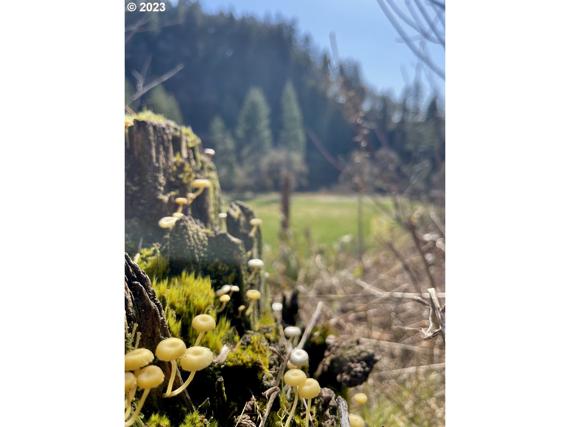 28593 Lower Smith River Road Reedsport, OR 97467 - Photo 35 of 48