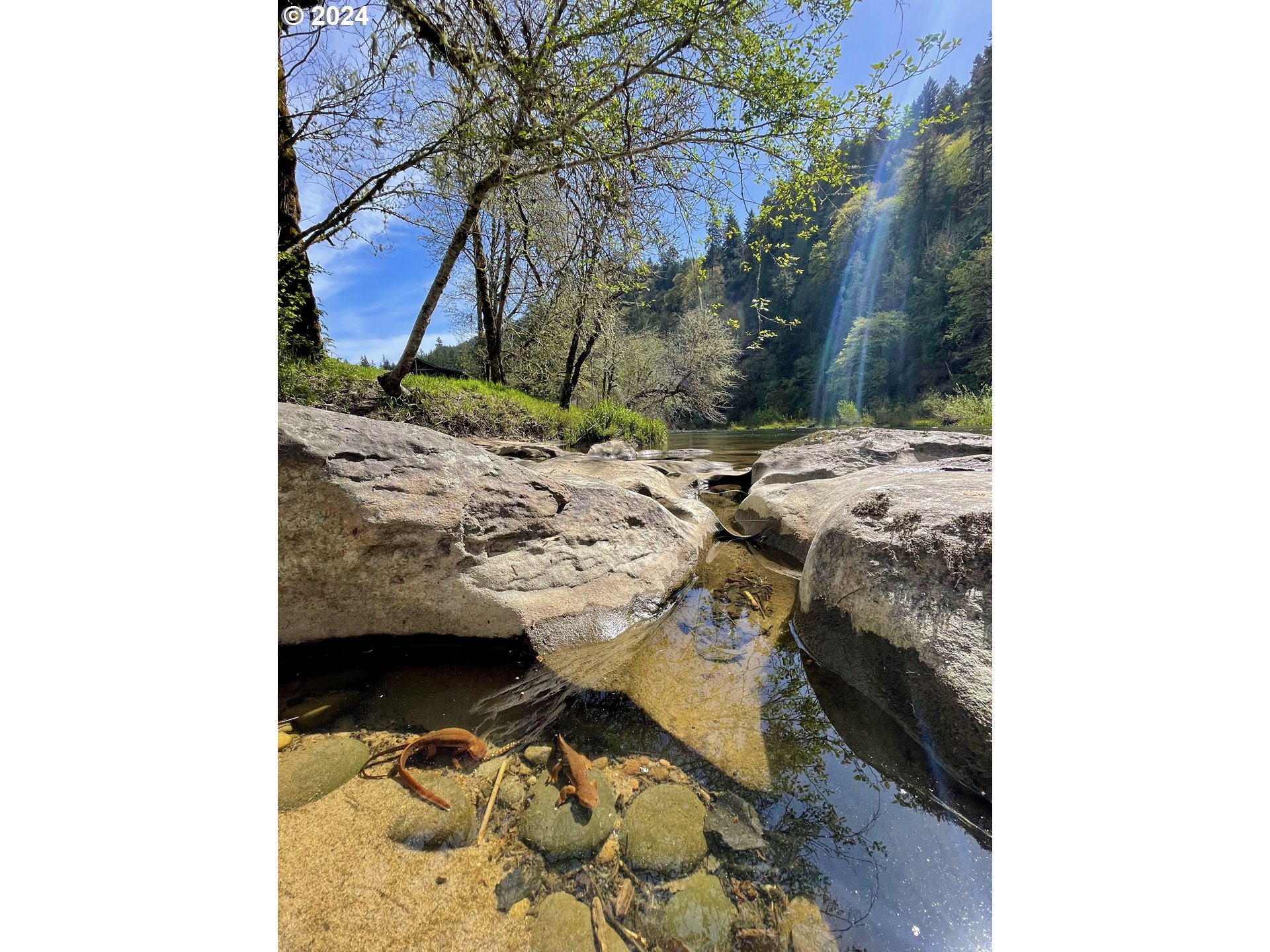 28593 Lower Smith River Road Reedsport, OR 97467 - Photo 37 of 48