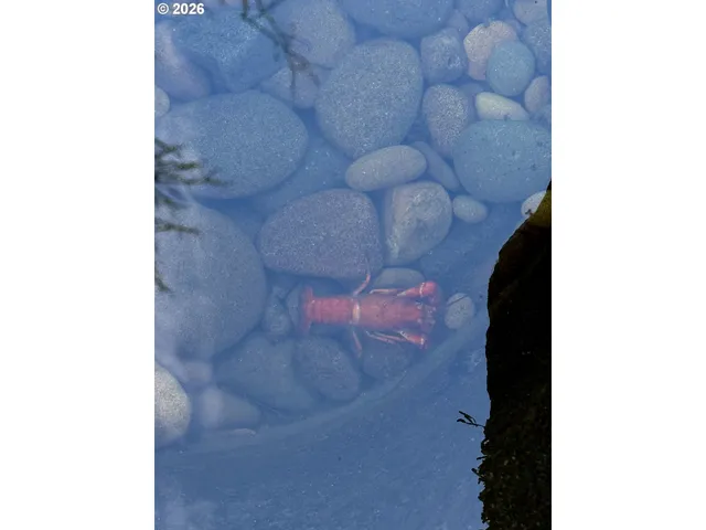 $1,200,000 | 28593 Lower Smith River Road, Reedsport, OR 97467