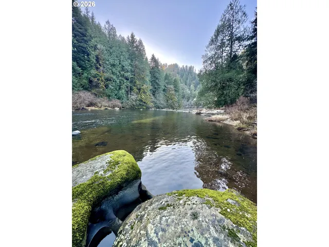 $1,200,000 | 28593 Lower Smith River Road, Reedsport, OR 97467