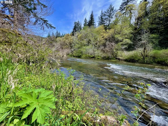 $1,200,000 | 28593 Lower Smith River Road, Reedsport, OR 97467
