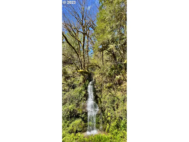 $1,200,000 | 28593 Lower Smith River Road, Reedsport, OR 97467