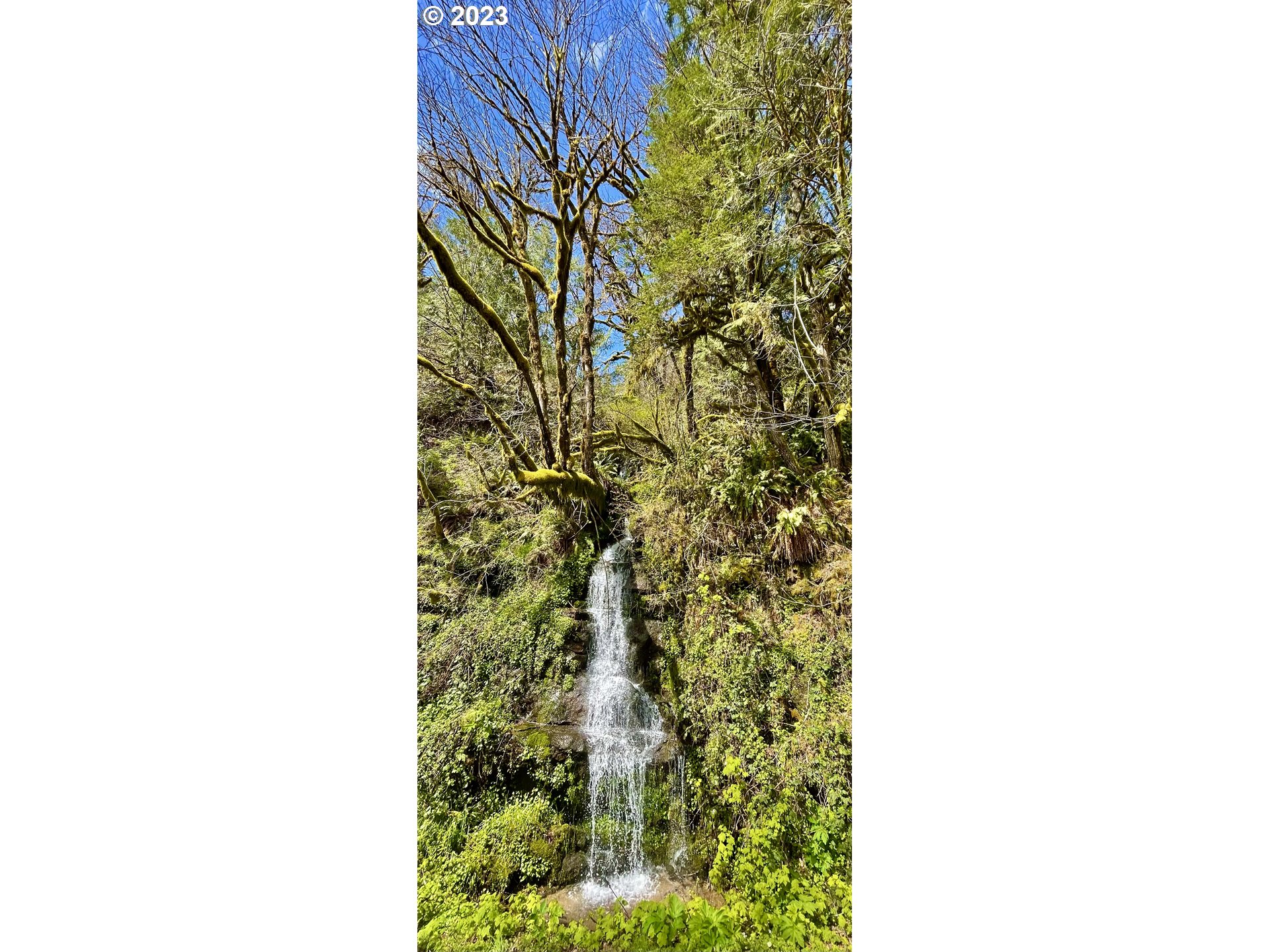 28593 Lower Smith River Road Reedsport, OR 97467 - Photo 43 of 48